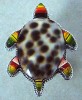 LOVABLE COWRIE SHELL STERLING SILVER TURTLE RING sz 10 