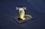 Mini Portable Folding LED Pocket Wallet Card Light Lamp 