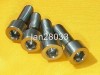 Only Ti Titanium Disk Brake Mount Bolts Kit-Avid-Hope 