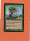 MTG UTOPIA TREE FOIL X1 SPANISH FINE 