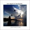 amir baghiri&wee bandits a brief hystory of light cd  