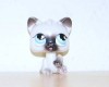 Littlest pet shop PUSH&PLAY KATZE gebraucht