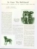 SCARCE VINTAGE Dog Breed Article 1934  Bullmastiff Dogs 