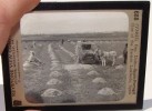 Spain eastern lowlands hay farmers glass slide 