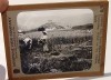 Spain harvesting wheat 678 glass slide 