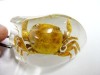 REAL CRAB MOUSE STYLE AMBER MAGIC KEY-CHAIN FINE JEWELY 