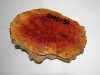 OZIE Red Mallee Burl Cap Woodturning Lathe Blank rmc-31 