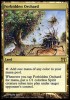 MTG: HUERTO PROHIBIDO / FORBIDDEN ORCHARD x4 MINT!!