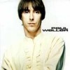 PAUL WELLER  self-titled  cd album  classic rock  Mod 