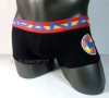 NEW sexy briefs men's underwear size L DS020 (29-32