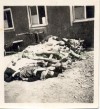 MR28,  GI PHOTOGRAPH OF BUTCHENWALD CONCENTRATION CAMP 