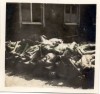 MR29,  GI PHOTOGRAPH OF BUTCHENWALD CONCENTRATION CAMP 