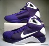 Nike Hyperdunk TB Purple/White/Silver Mens Sz 13 