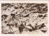 1940 ORG Photo Russian Camouflage Blend With Snow FINNS 