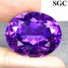 35.99ct. Astounding Deep Purple Natural Amethyst NR! 