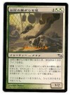  Kitchen Finks x 1 * Japanese Non-Foil MTG magic 