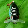 Waterwolf  Fishing lures Cicadas Wakebait Red Hooks ZL5 