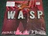 WASP - Animal/ Show No Mercy 