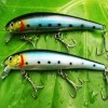 2x Rattling Jerkbaits RAP Fishing Lures Tackle Hook L25 