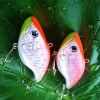 2XRAP Fishing Lures lipless crankbaits Trackle Hook B74 