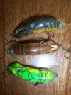 3 Rebel Craw Crawdad fish tackle box fishing lures 