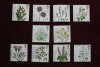 GB 2009 ACTION FOR SPECIES - PLANTS 10 INDIVIDUAL STAMP 