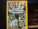 Libro de pintxos de setas silvestres y cultivadas 