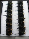 16 Montana fritz bead head nymphs by Fiorelina 