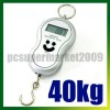 20g/40Kg Digital Hanging Fishing Balance Scale #208 