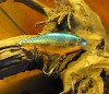 1 Rapala Shad Rap 8 Silver Plated Silver Blue Finland 