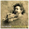 DIG FOR FIRE: A TRIBUTE TO THE PIXIES (CD 2007) 