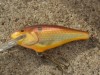 Rare Rapala Shad Rap Lure 4 Salmon Pike Must Have L@@K 