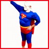 Halloween Muscle Superman Boys Fancy Dress Costume 4-5y 