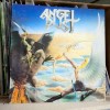 Angel Dust - Into the Dark Past LP 