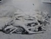 ORIGINAL WWII BUCHENWALD CONCENTRATION CAMP PHOTOS 