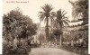 ALICANTE, PLAZA DE ISABEL II,  postal antigua 