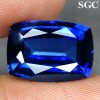 9.84 ct Outstanding Cushion Kashmire Blue Sapphire NR! 