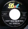 THE RUMBLERS  60's Surf Rock  DOT RECORDS 