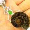 Fossil Ammonite, Watermelon Tourmaline, Peridot Pendant 