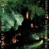 Into the Pandemonium [Bonus Tracks] Celtic Frost 