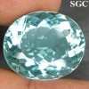 24.44 ct Stunning Oval Facet Greenish Aquamarine NR! 