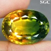 19.49 ct Best Oval Facet Yellow & Green Citrine NR! 