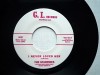 45 Starfires - i never loved her  USA G.I.Records 60s