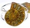 Wonderful Fossil Ammonite Cuff Bangle Bracelet Silver  