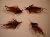 1 dozen Hellgramite #10, Nymphs, Trout, NR! 