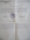 Confirmation to concentration camp inmate 1946 