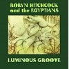 ROBYN HITCHCOCK & EGYPTIANS 5 cd set LUMINOUS GROOVE 