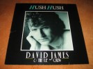 DAVID JAMES - HUSH HUSH - 12 - RARE EURO / ITALO DISCO 