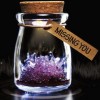 DIY Growing Crystal Grow Crystal for Educational Kit 