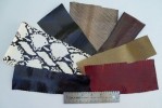 SNAKE SKIN SNAKESKIN PIECES GRAB BAG! ASSORTED 100